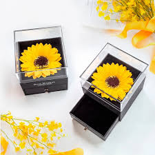 CAJA GIRASOL